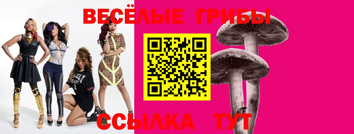 Фрязино  Галлюциногенные грибы Psilocybe  Псилоцибиновые грибы Psilocybe  как найти наркотики  Вход с VPN 